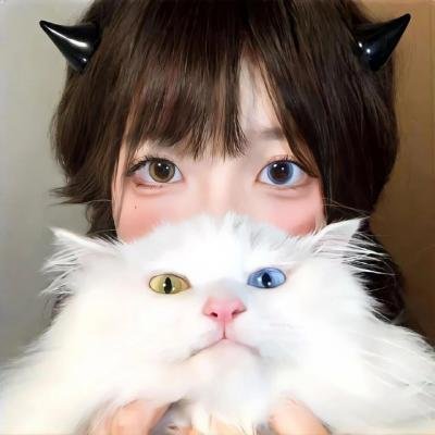 精武风云·陈真