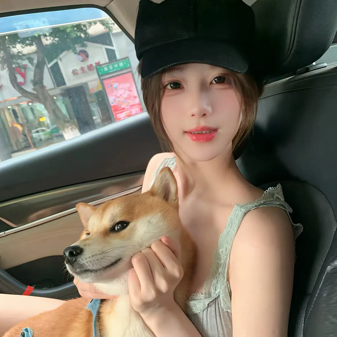明月守护者
